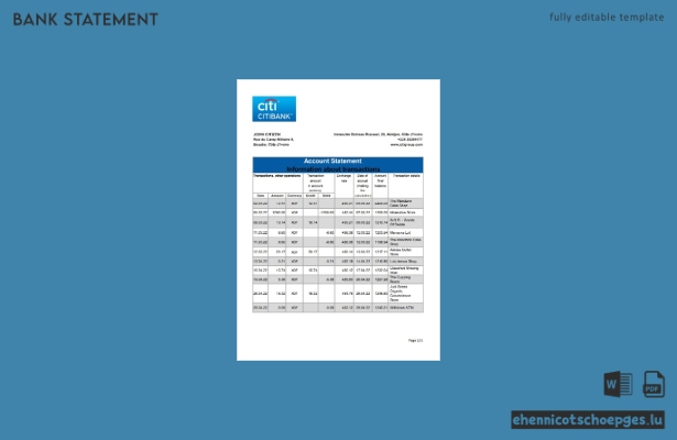 Beispiel-Excel-Vorschau eines Kontoauszugs der Citibank in der Elfenbeinküste